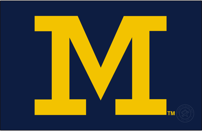 Michigan Wolverines 2016-Pres Secondary Logo v4 diy DTF decal sticker